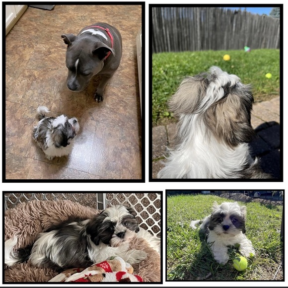 Meet your Posher, Meredith - Picture 9 of 15